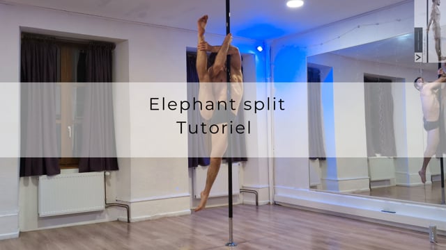 Elephant split