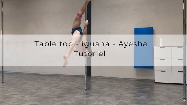 Table top - iguana - Ayesha