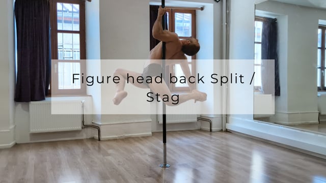 Figure head back Split-stag