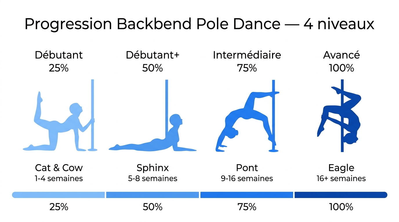 Progression backbend pole dance en 4 niveaux : Chat-Vache, Sphinx, Pont, Eagle