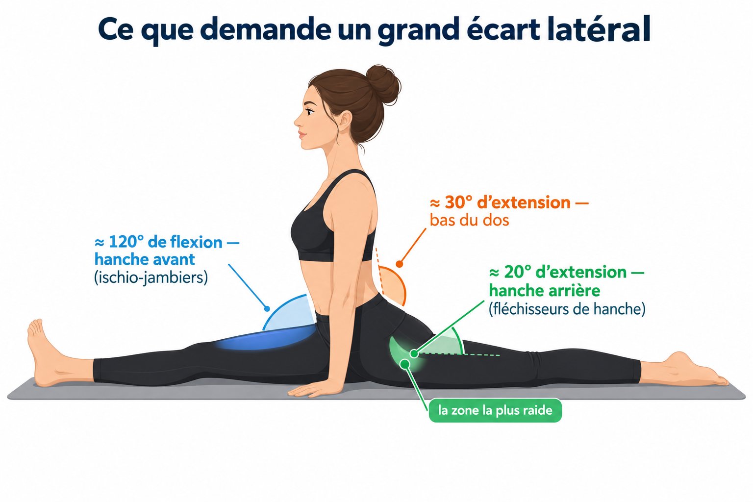 Décomposition du grand écart latéral : 120° de flexion de la hanche avant, 20° d'extension de la hanche arrière et 30° d'extension du bas du dos