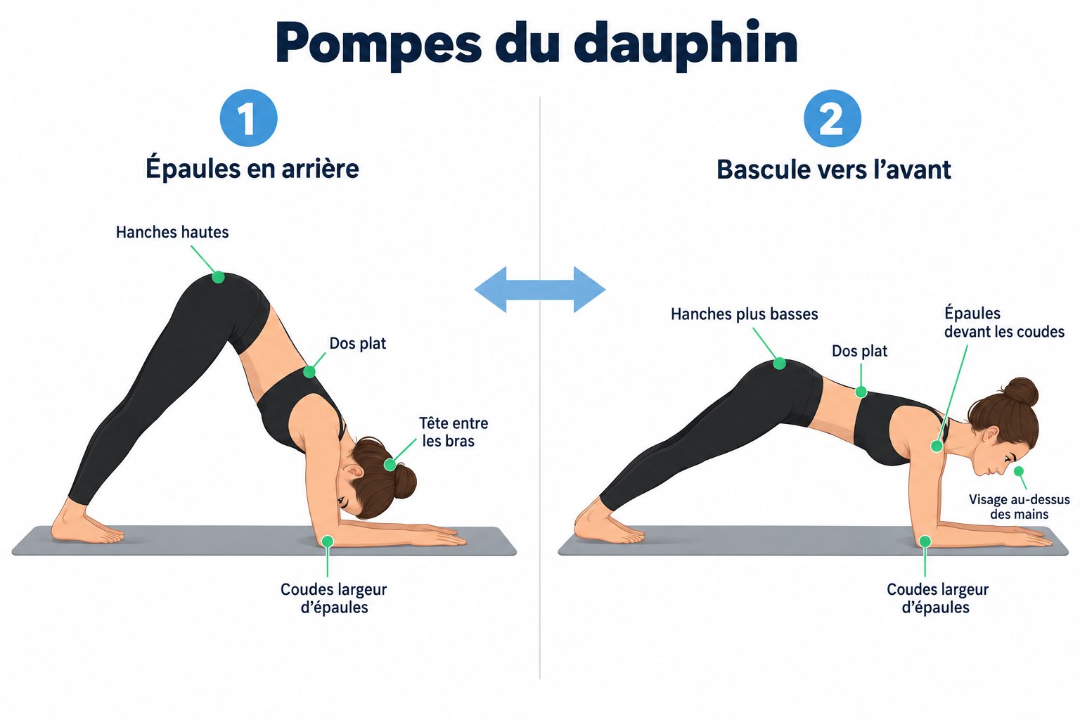 Pompes du dauphin : bascule du corps vers l'avant sur les avant-bras, hanches hautes et dos plat