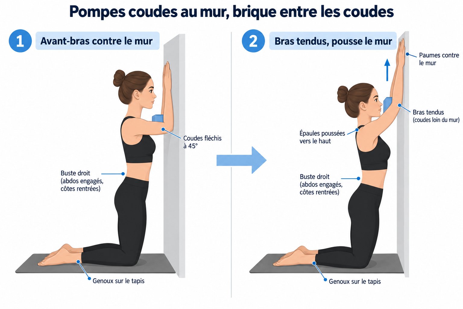 À genoux face au mur, brique entre les coudes : les coudes viennent toucher le mur puis les bras se tendent