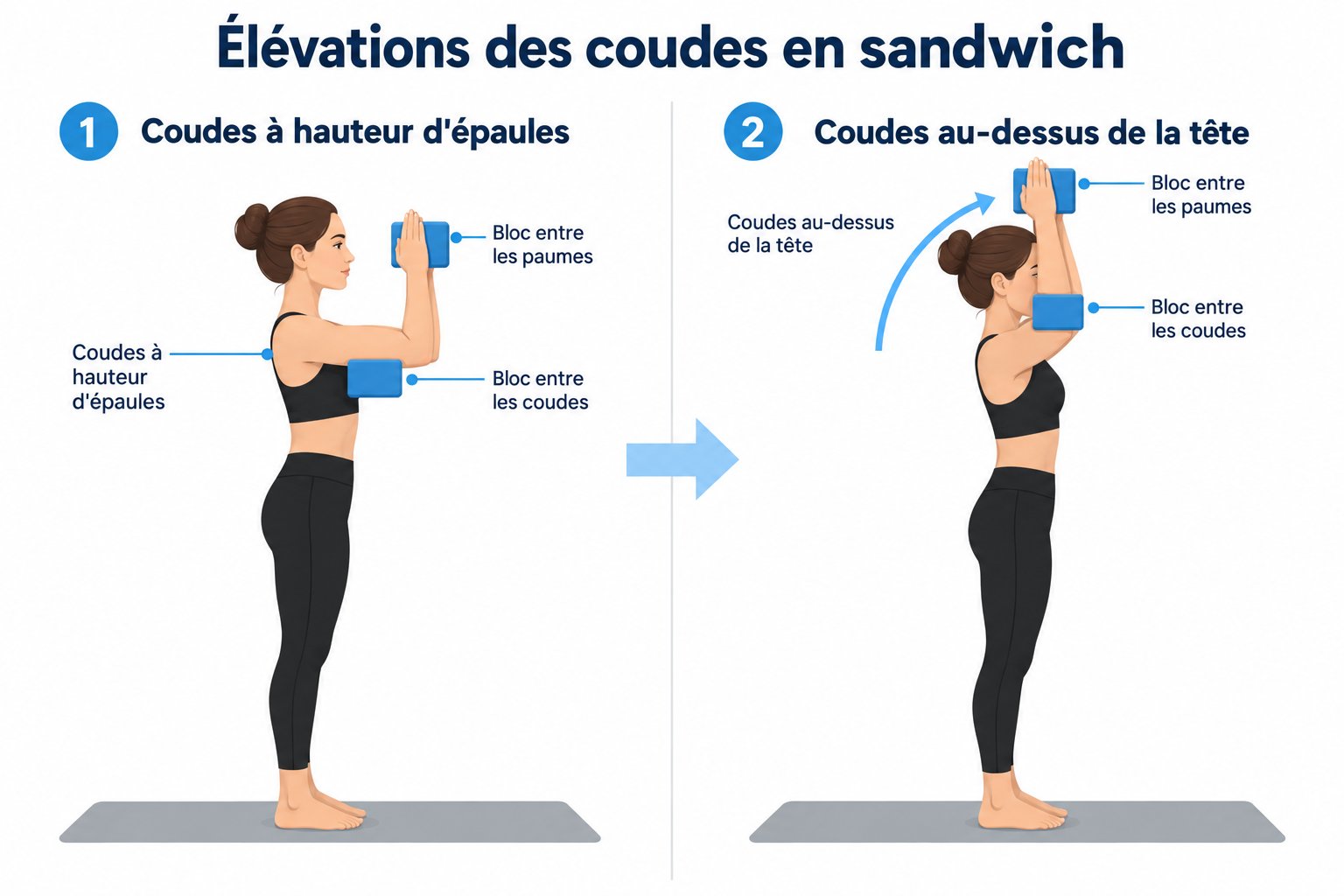 Élévations des coudes en sandwich : une brique entre les coudes, une entre les mains, coudes pliés à 90° qui montent au-dessus de la tête