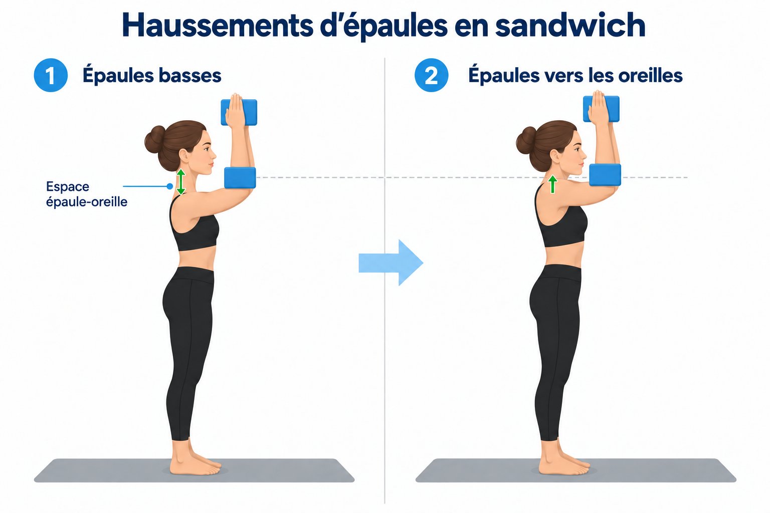 Haussements d'épaules en sandwich : bras levés avec une brique entre les coudes et une entre les mains, les épaules montent vers les oreilles