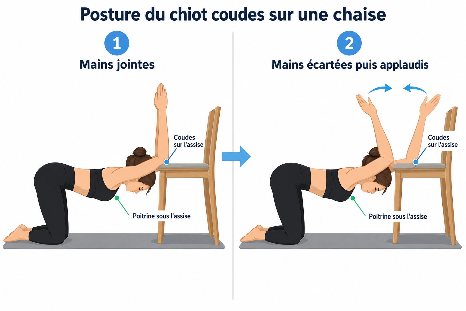 Posture du chiot coudes posés sur une chaise, poitrine sous le niveau de l'assise, avant-bras verticaux qui s'écartent puis applaudissent