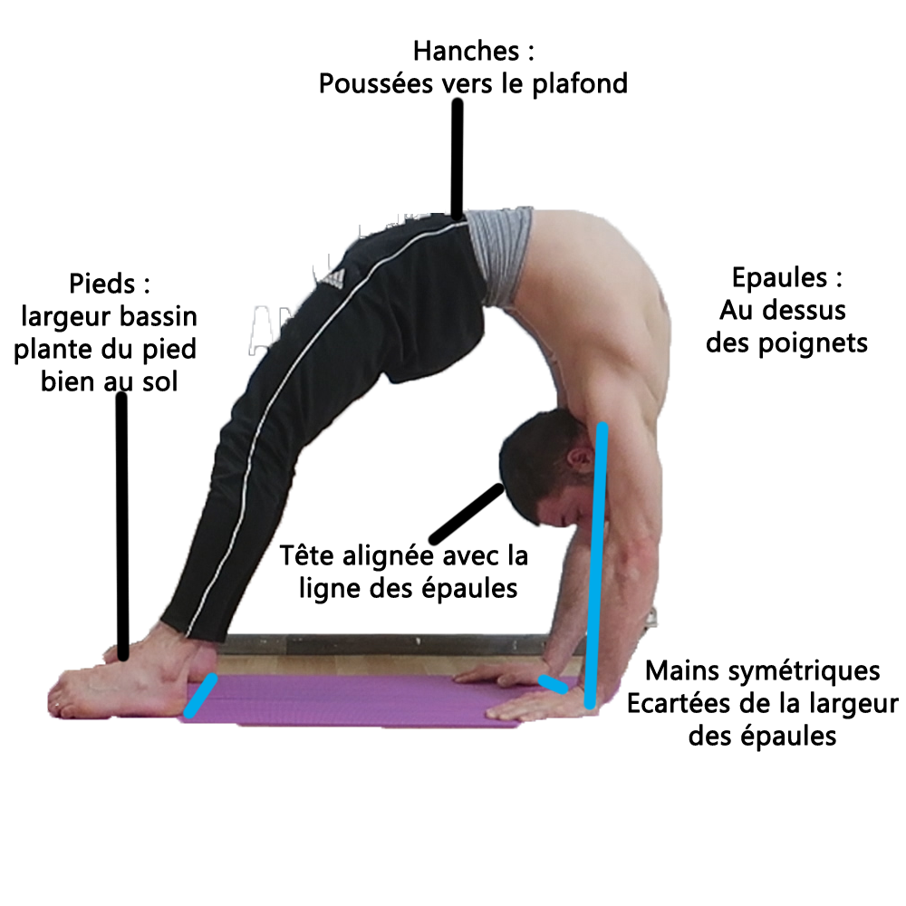 Position du Pont : Améliorez votre Souplesse de Dos en 8 Minutes