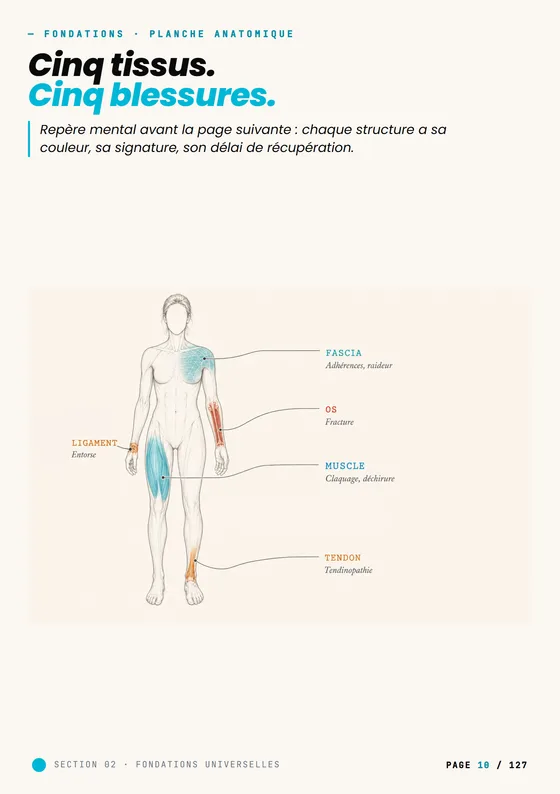Planche des cinq tissus et de leurs blessures