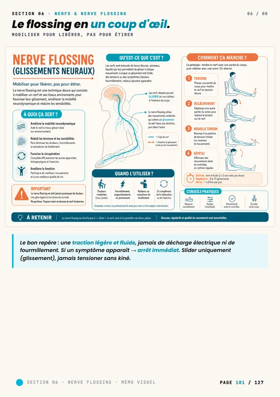 Infographie du nerve flossing